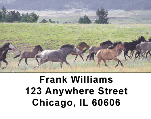 Spanish Mustang Address Labels