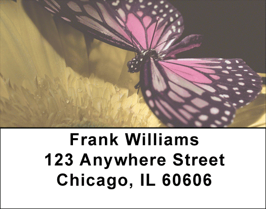 Butterfly Perspective  Address Labels