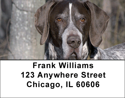 German Short Haired Pointers Address Labels