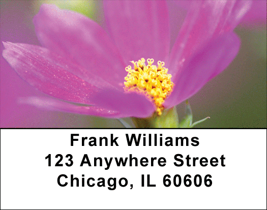 Blooming Closeups Address Labels