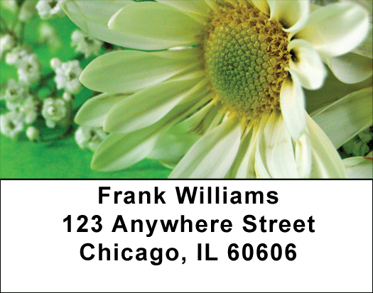 Daisies On Green Address Labels