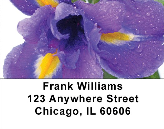 Delightful Days Address Labels