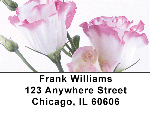 Everyday Is A Spring Day Address Labels