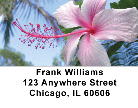Hibiscus Address Labels