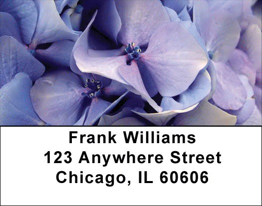 Hydrangea Address Labels