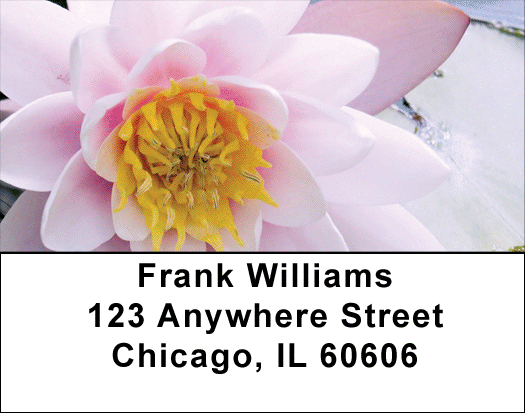 Lotus Rainbow Address Labels
