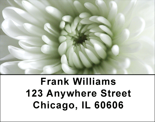 Lacy Mums Address Labels