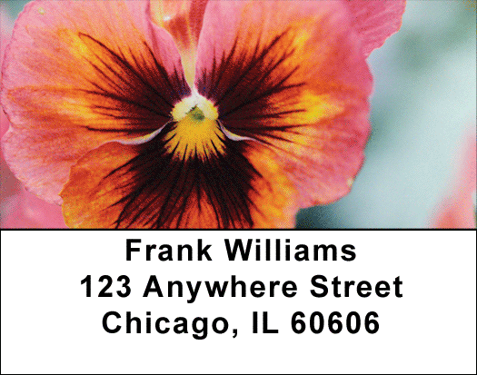 Pansy Parade Address Labels