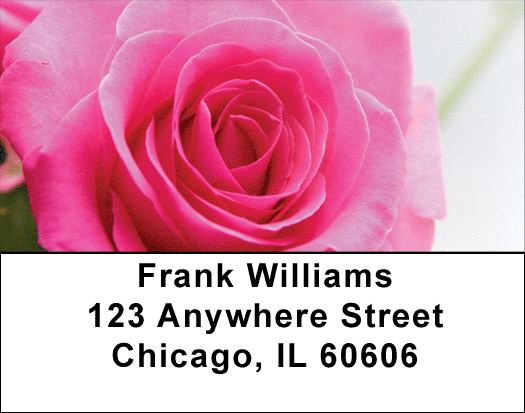 Pink Roses Address Labels