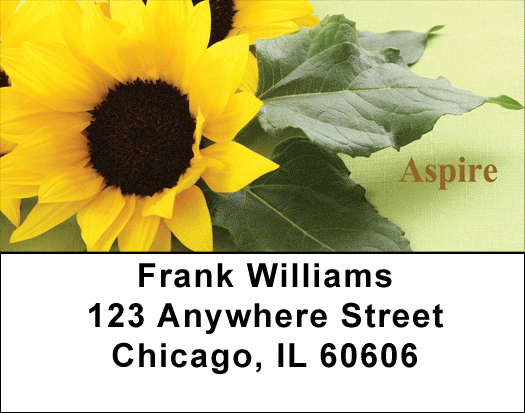 Day Brighteners Address Labels