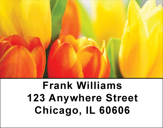 Tulip Temptations Address Labels