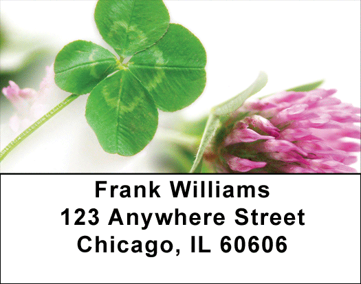 Clovers Address Labels