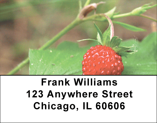 Bloomin' Strawberries Address Labels