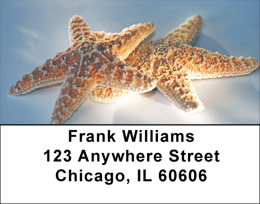 Waves N Things Address Labels
