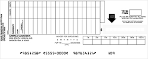 Loose Business Deposit Slips Style 8