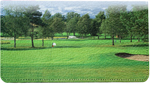Scenic Courses Leather Checkbook Cover