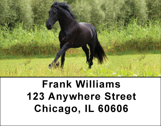 Award Winning Stallions Address Labels