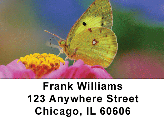 Butterfly Dreams Address Labels