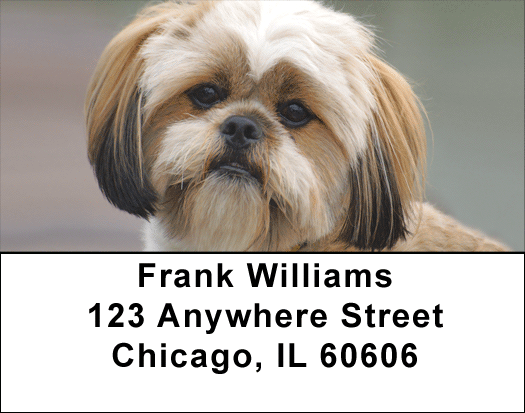 Lhasa Apso Puppy Address Labels