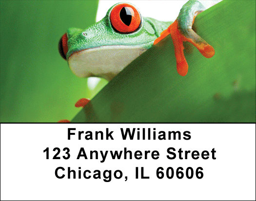It's A Froggy Frog World Address Labels