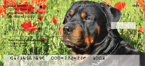 Rottweilers and Puppies