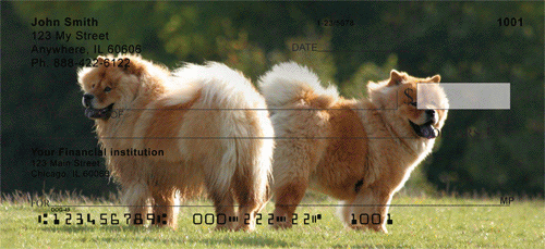 Chow Chow Dogs