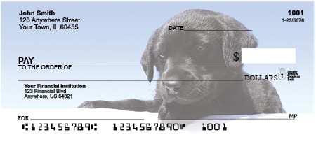 Black Lab Puppies Personal Checks