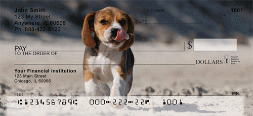 Brilliant Beagles Checks
