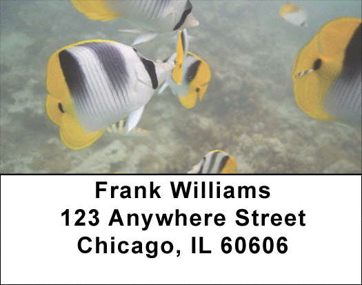 Up Close with Tropical Fish Address Labels