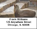 American Wildlife Address Labels