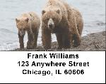 Grizzly Bears in the Wild Address Labels