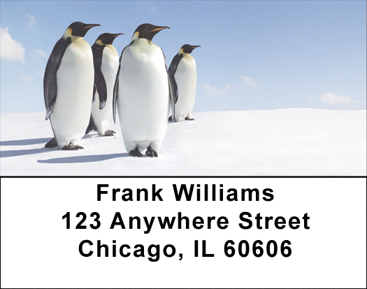 Penguins Address Labels