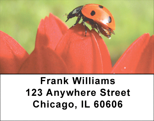 Ladybugs on Flowers Address Labels