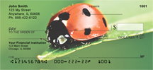 Ladybugs Close and Personal Personal Checks