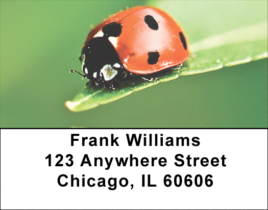 Ladybugs Close and Personal Address Labels