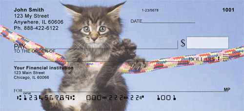 Maine Coon Kittens Checks