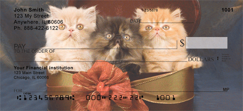 Persian Kittens Checks