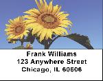 Joyous Sunflowers Address Labels
