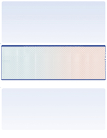 Blue Red Blank Stock for Computer Voucher Checks Middle Style
