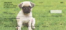 Pugs At The Park Personal Checks