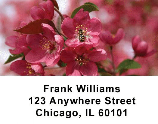 Nature's Beauty Address Labels