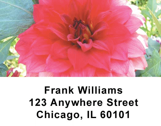 Flowers Address Labels
