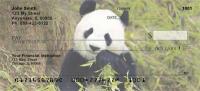 Panda Bears Personal Checks