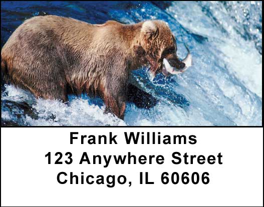 Grizzly Bears Address Labels