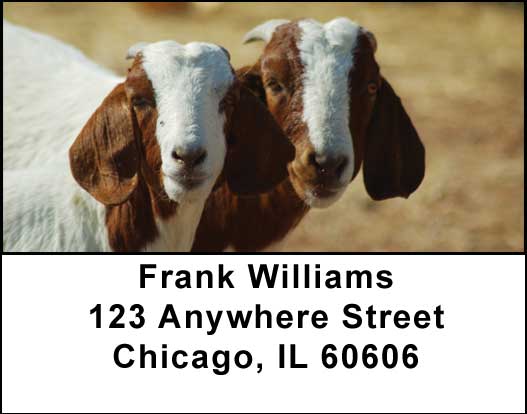 Goats Address Labels