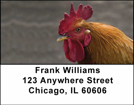 Roosters Address Labels