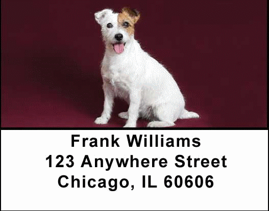 Jack Russell Terriers Address Labels