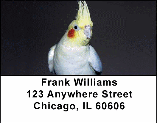 Cockatiels Address Labels