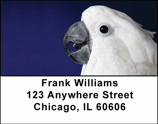 Cockatoos Address Labels