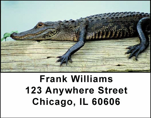 Alligators and Crocodiles Address Labels